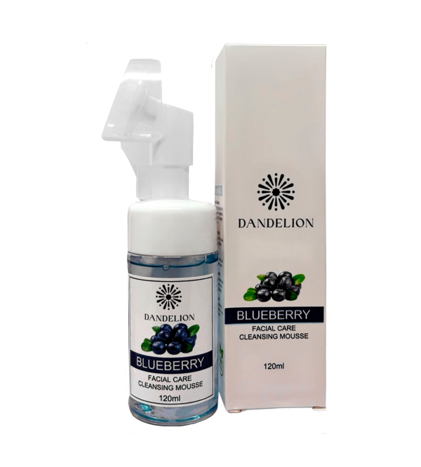Blueberry Facial Care Cleansing Mousse