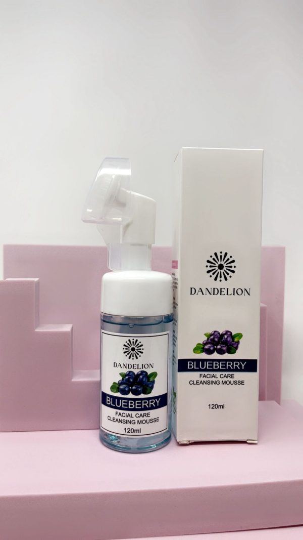 Blueberry Facial Care Cleansing Mousse